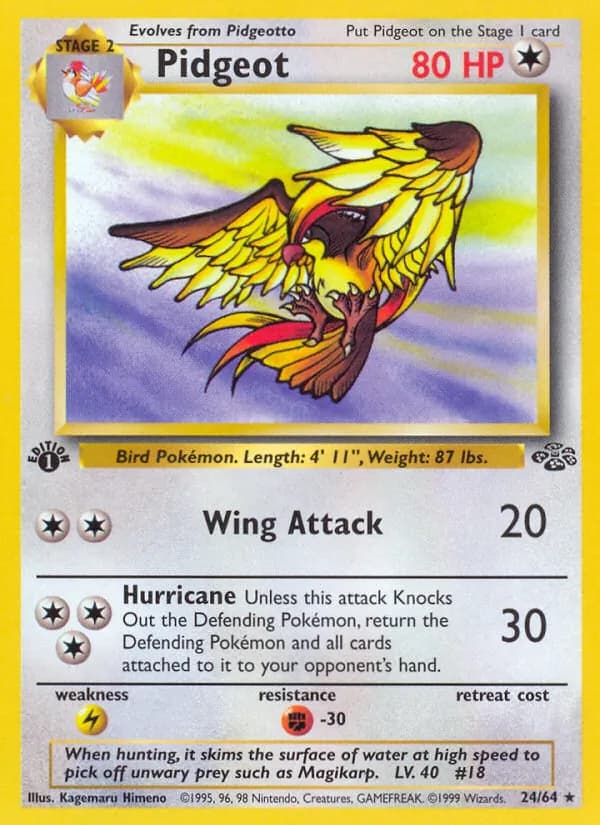 Pidgeot – Jungle 24