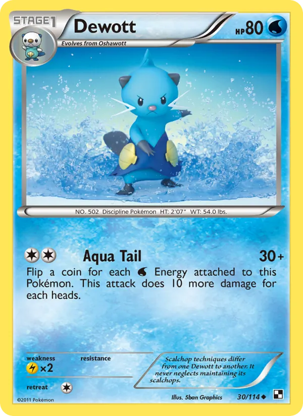 Dewott – Black & White 30