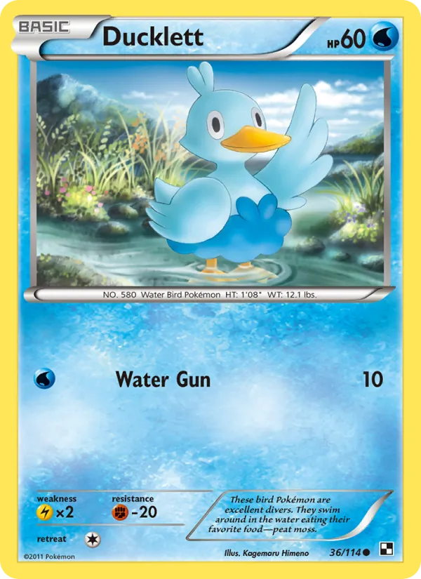 Ducklett – Black & White 36