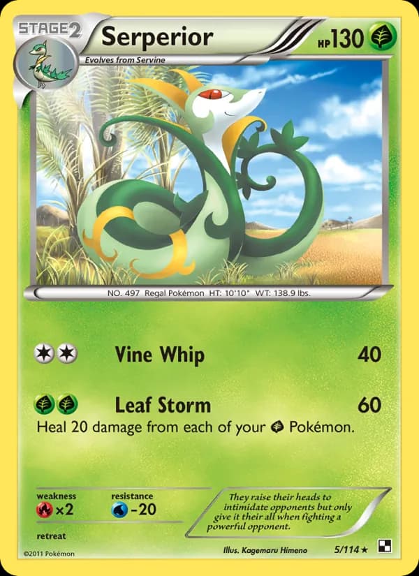 Serperior – Black & White 5
