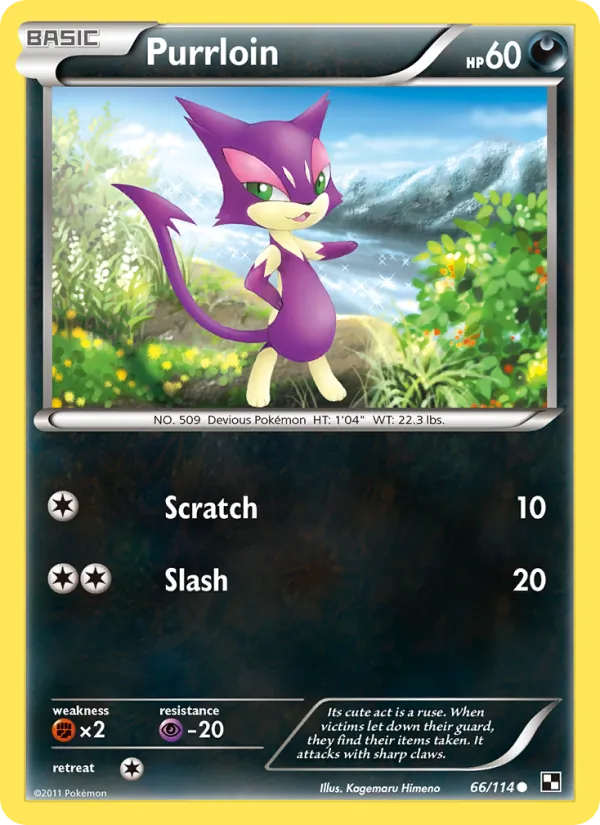 Purrloin – Black & White 66