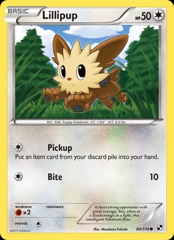 Lillipup – Black & White 80