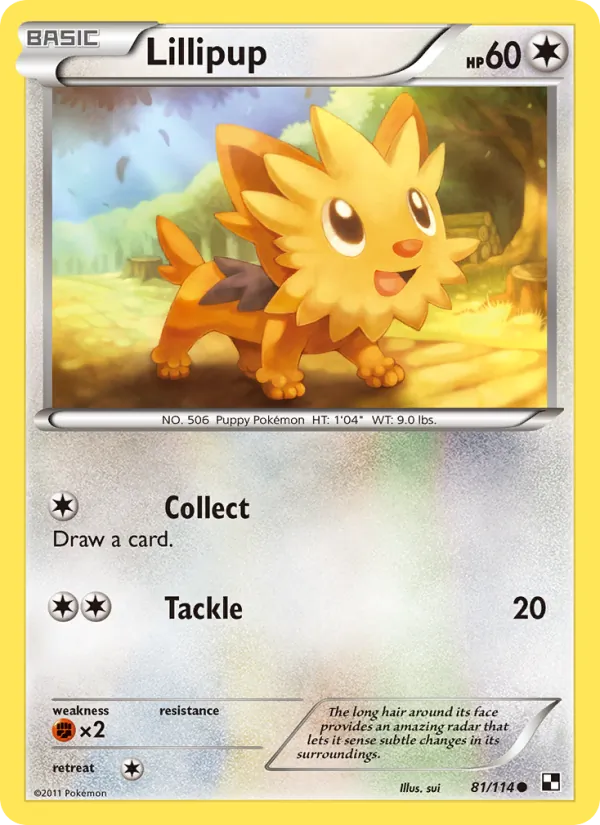 Lillipup – Black & White 81