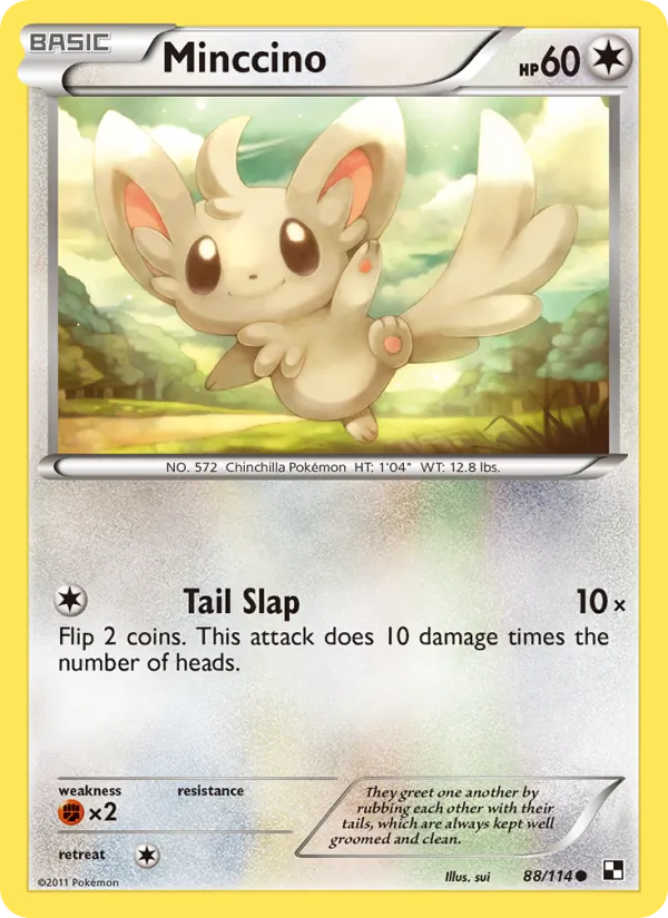 Minccino – Black & White 88