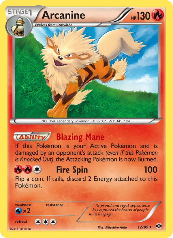 Arcanine – Next Destinies 12