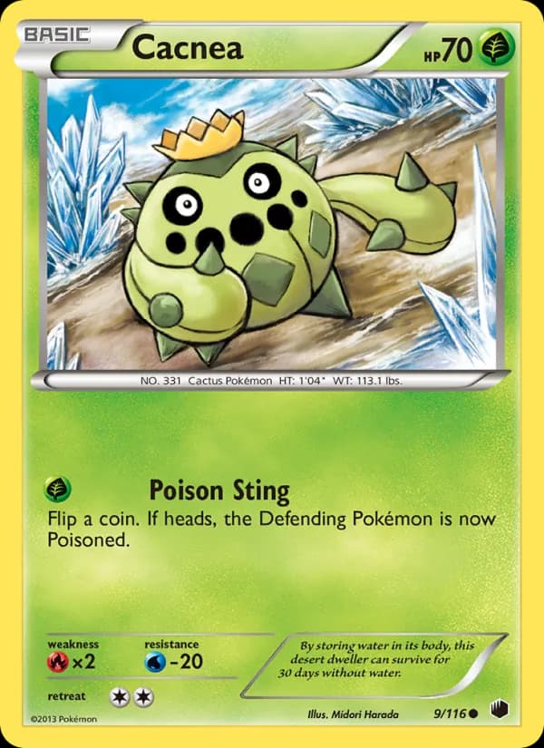 Cacnea – Plasma Freeze 9