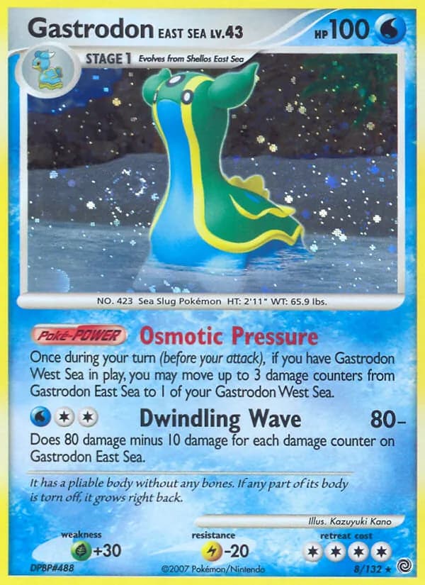 Gastrodon East Sea – Secret Wonders 8