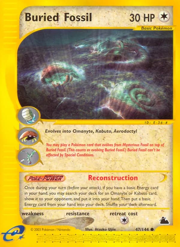 Buried Fossil – Skyridge 47