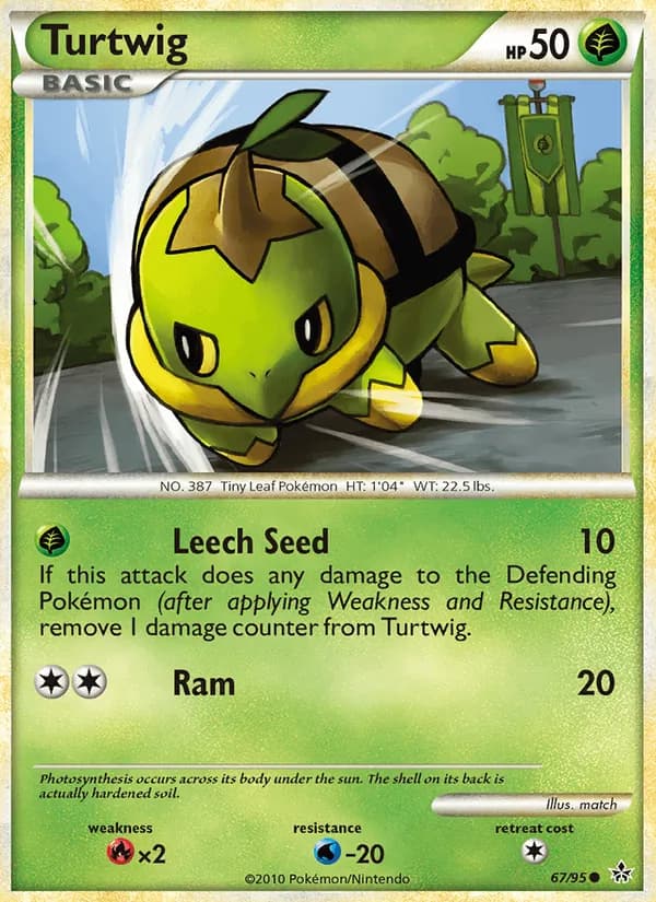 Turtwig – Unleashed 67