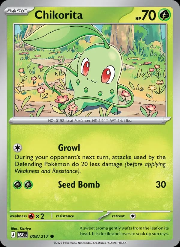 Chikorita – Ascended Heroes 008