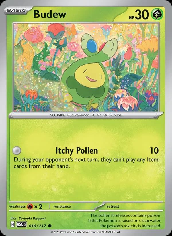 Budew – Ascended Heroes 016