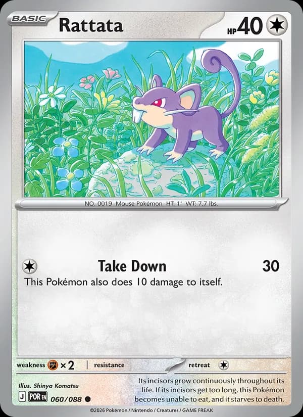 Rattata – Perfect Order 060