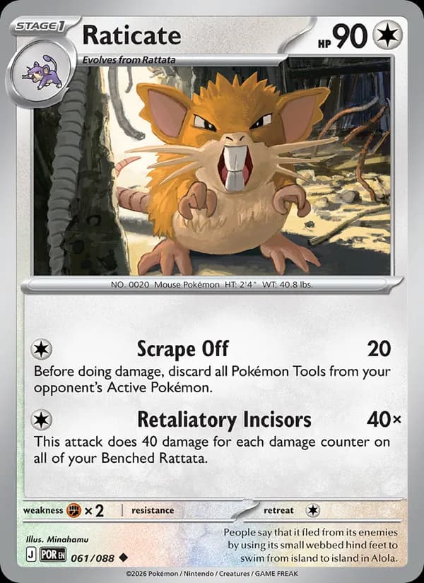 Raticate – Perfect Order 061