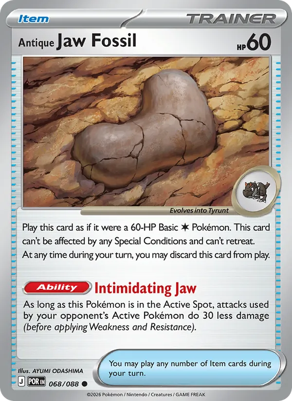 Antique Jaw Fossil – Perfect Order 068