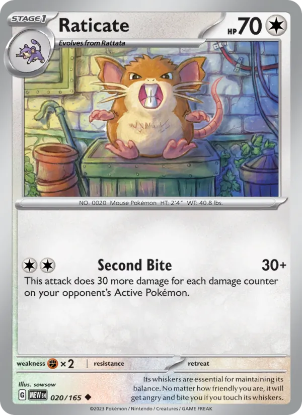 Raticate – 151 020