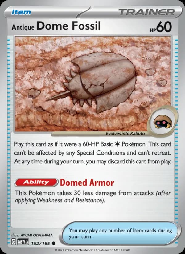 Antique Dome Fossil – 151 152