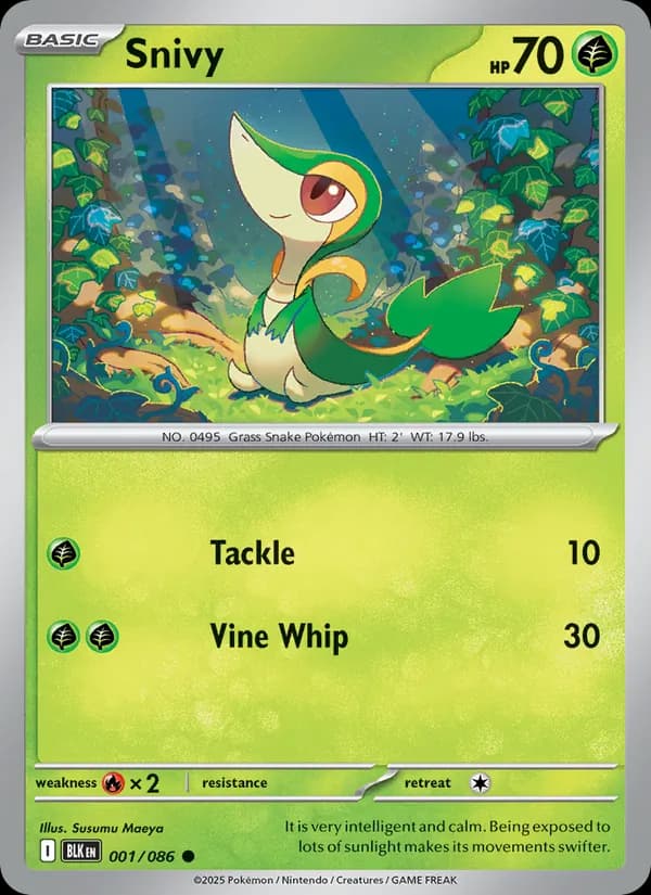 Snivy – Black Bolt 001