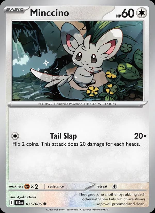 Minccino – Black Bolt 075