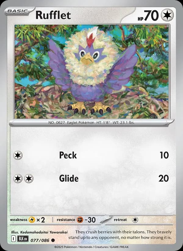 Rufflet – Black Bolt 077