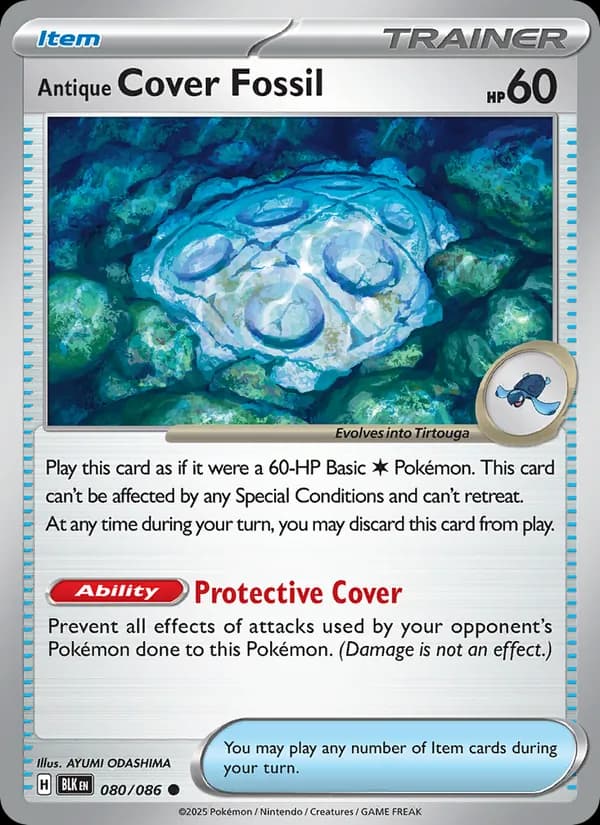 Antique Cover Fossil – Black Bolt 080