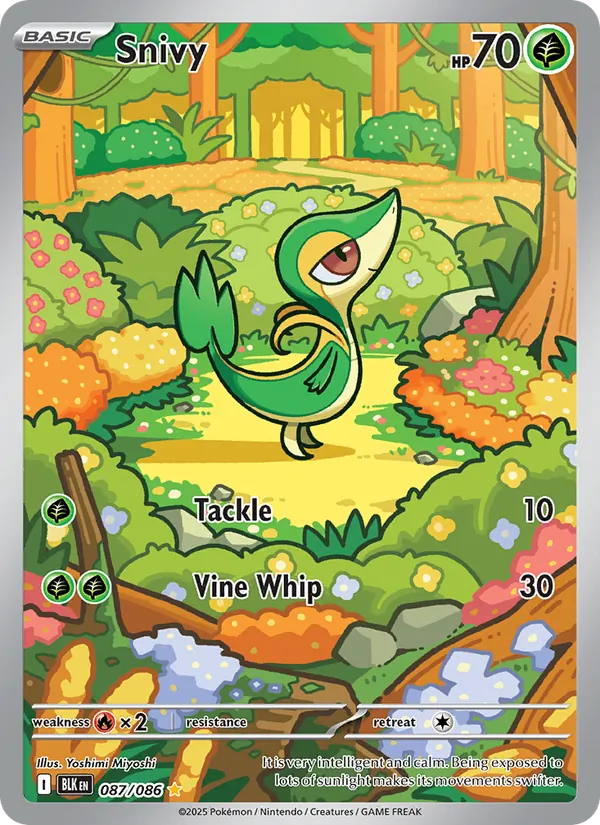 Snivy – Black Bolt 087
