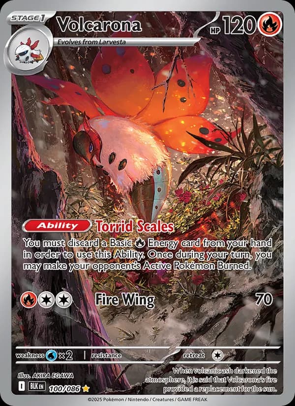 Volcarona – Black Bolt 100
