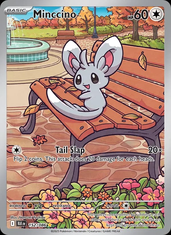 Minccino – Black Bolt 152