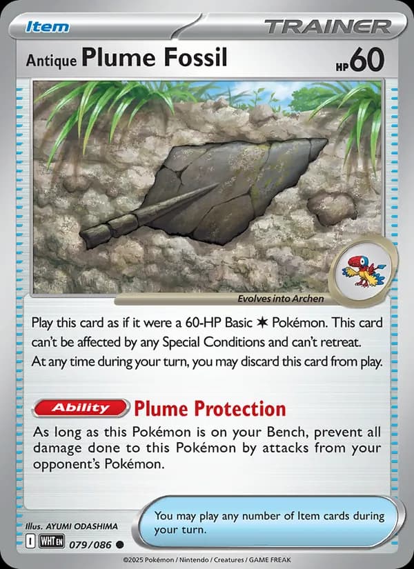 Antique Plume Fossil – White Flare 079