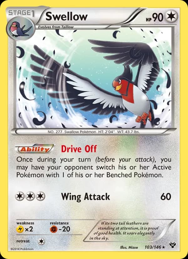 Swellow – XY 103