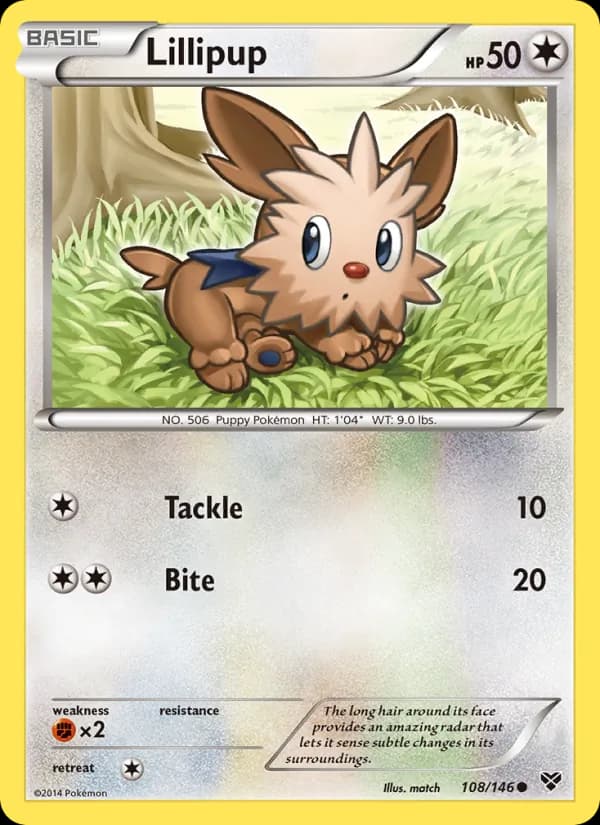 Lillipup – XY 108