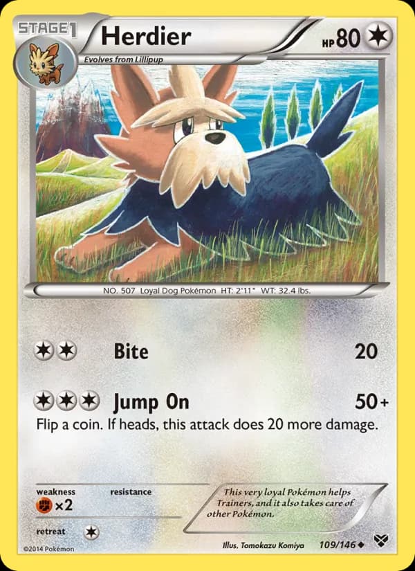 Herdier – XY 109