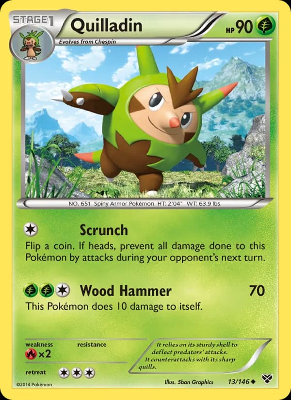 Quilladin – XY 13