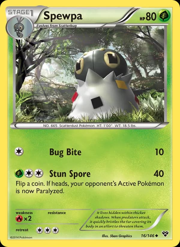 Spewpa – XY 16