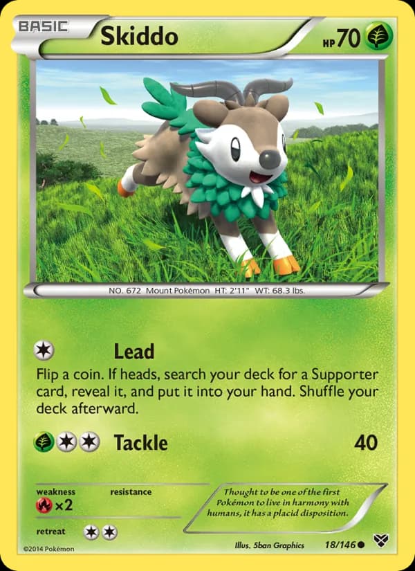Skiddo – XY 18