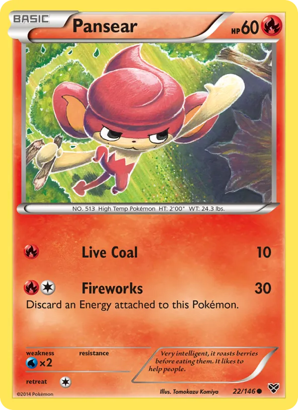 Pansear – XY 22