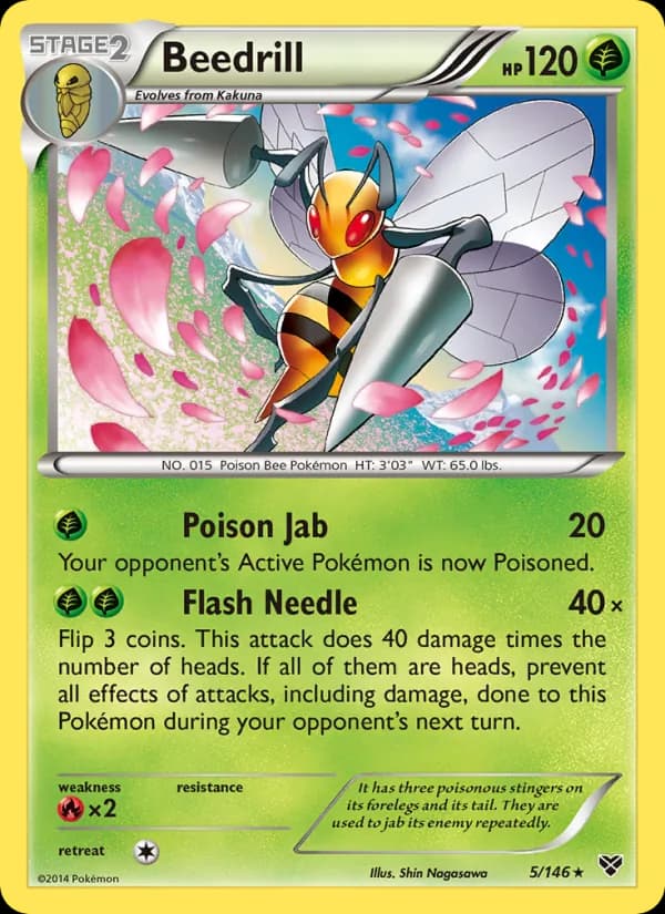Beedrill – XY 5