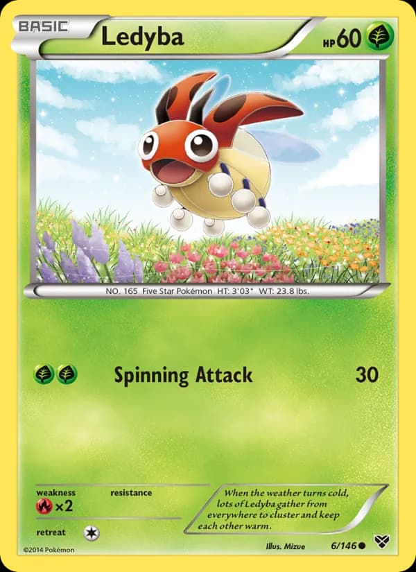 Ledyba – XY 6