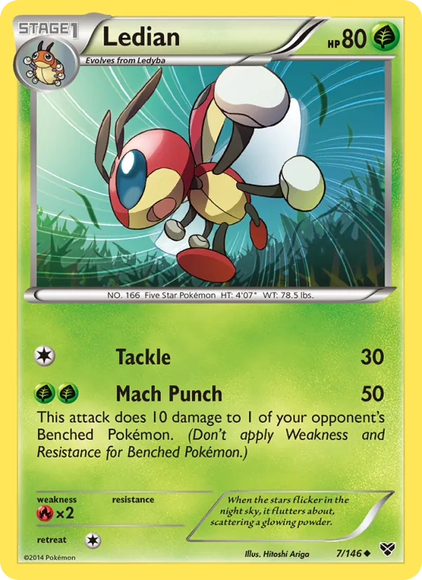 Ledian – XY 7