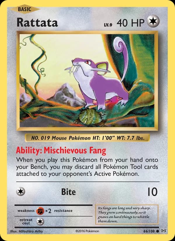 Rattata – Evolutions 66