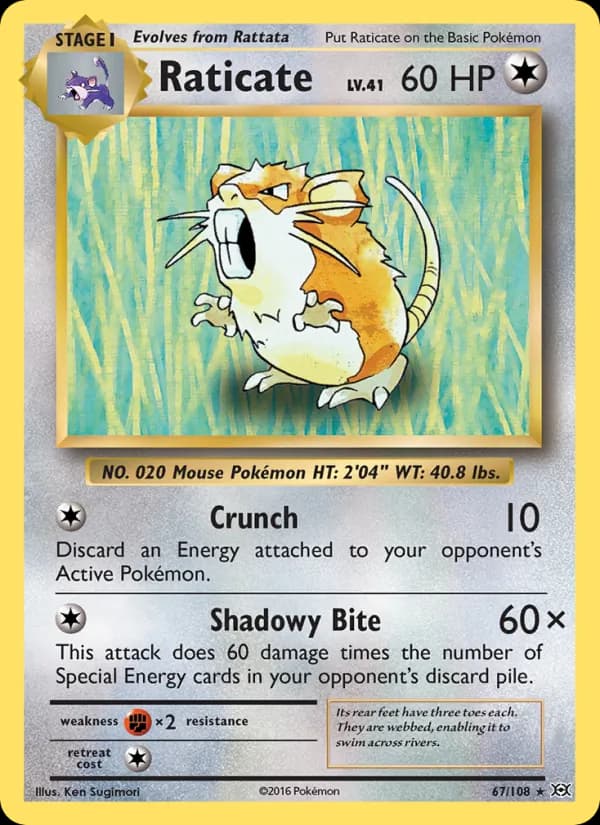 Raticate – Evolutions 67