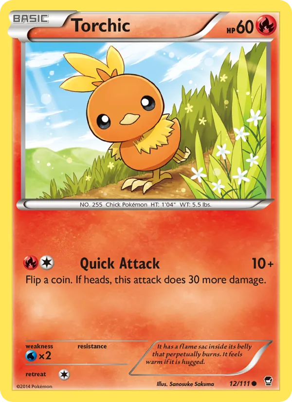 Torchic – Furious Fists 12