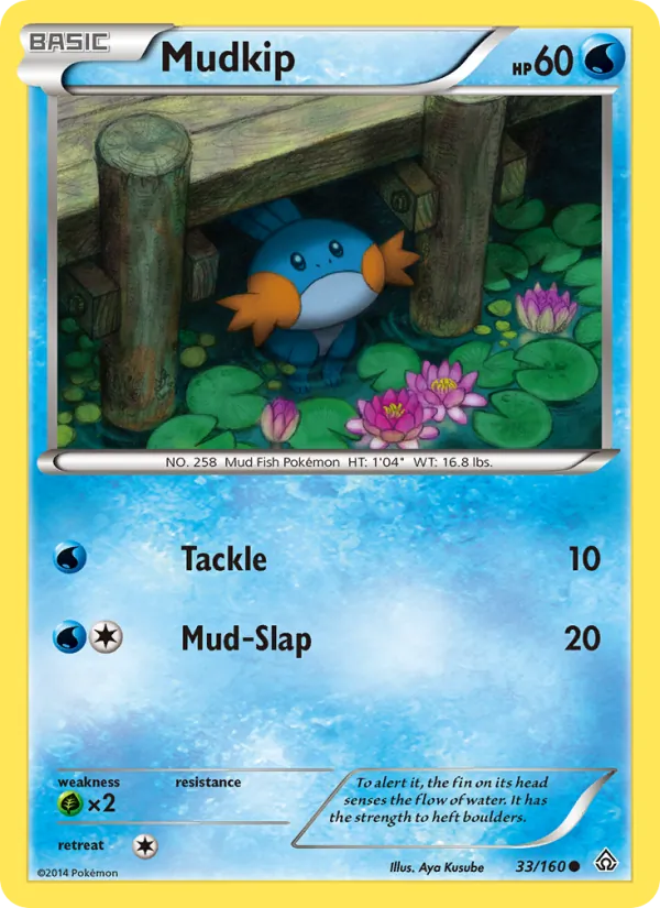 Mudkip – Primal Clash 33