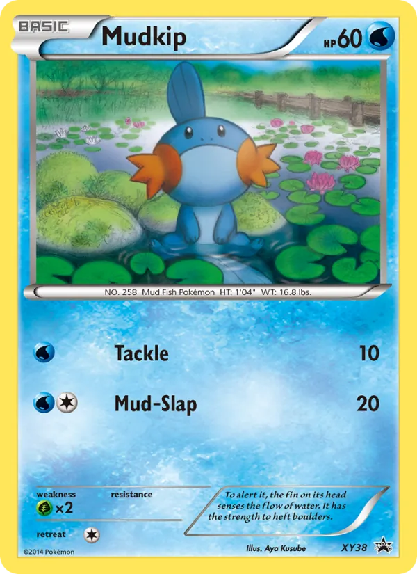 Mudkip – XY Black Star Promos XY38