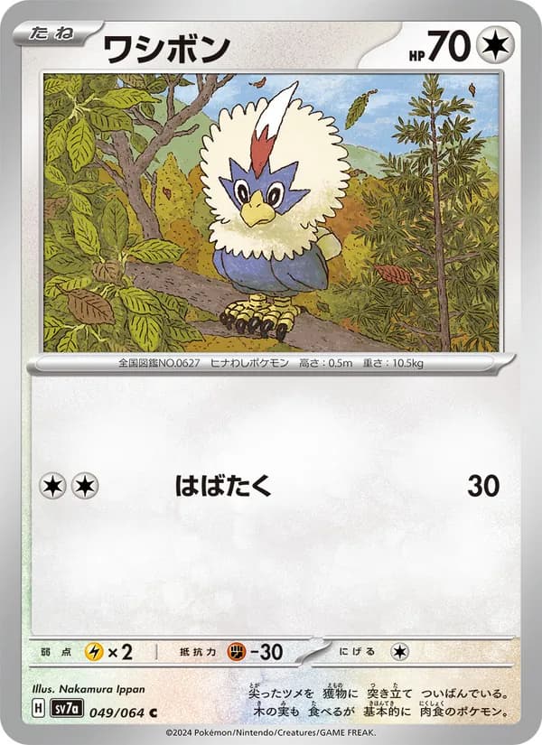 ワシボン – 楽園ドラゴーナ 049