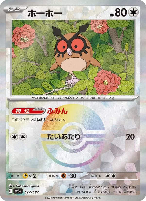 ホーホー – テラスタルフェスex 127