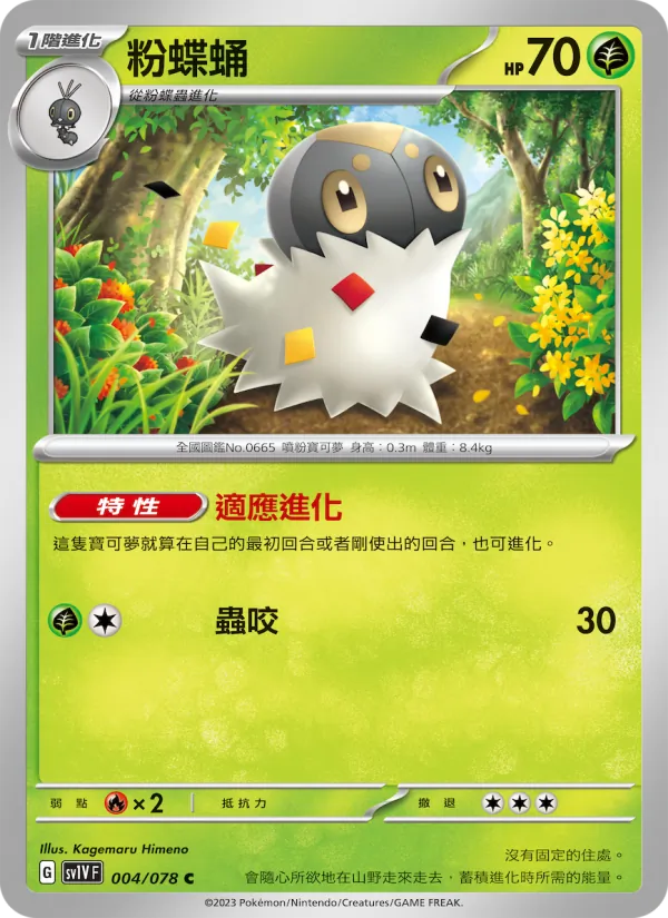 粉蝶蛹 – 紫ex 004