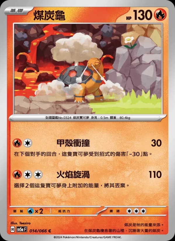 煤炭龜 – 緋紅薄霧 014
