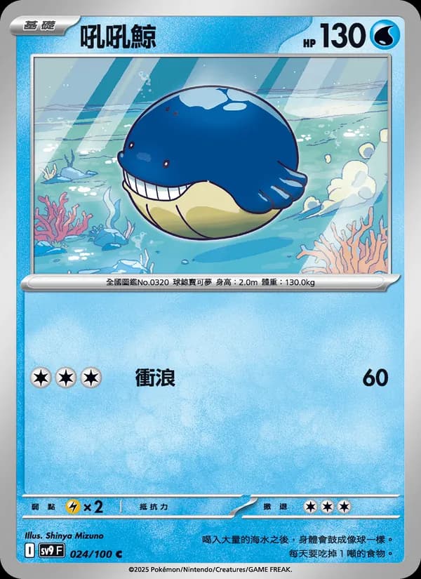 吼吼鯨 – 對戰搭檔 024