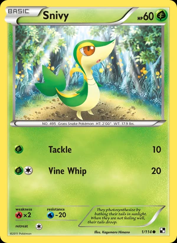 Snivy – Black & White 1