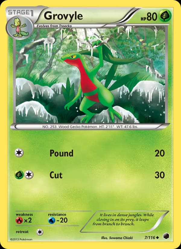 Grovyle – Plasma Freeze 7